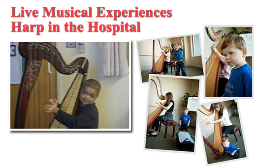 Harp in Hospital